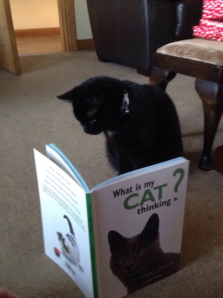 I would love to know ...