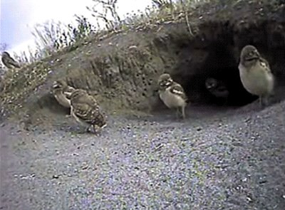 Excuse Me, Please Don\'t Film My Family!