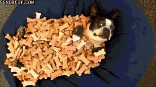 Dog Treat Blanket