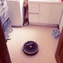 Roomba, the NOPE of the dog world