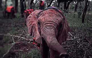 Hello there. What does that red blinking light do?