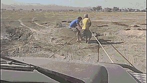 Baby Elephant Rescued And Reunited With Mom