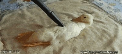 Aww, yiss