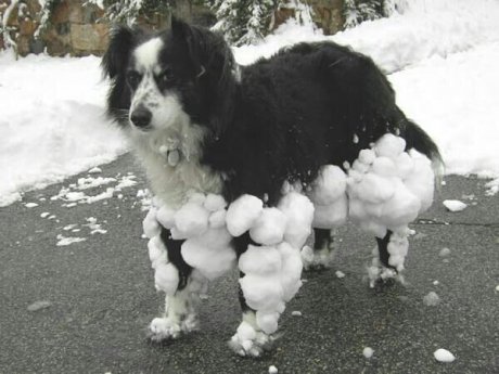 +10 armor +20 frost resistance -10 speed