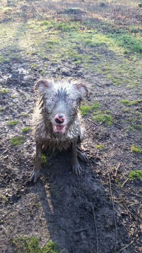 He found 1 puddle