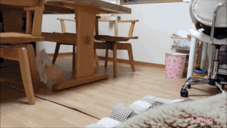 A bunny with a balloon.