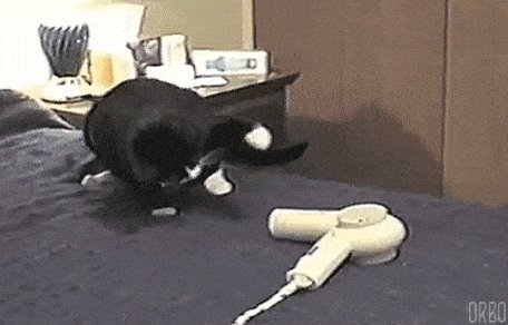 Wat....thing...is...this...fukken...do?