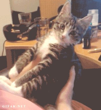 Come On, You're Embarrassing Me!