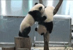 Don't worry I got you.