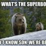 What's the Super Bowl?