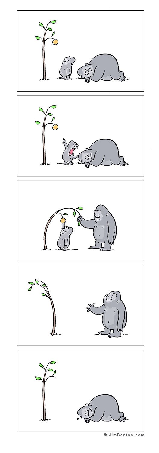 problem solver