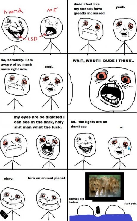 stoner funny