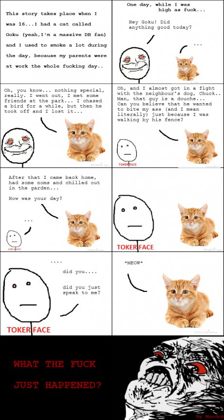 Just having a chat