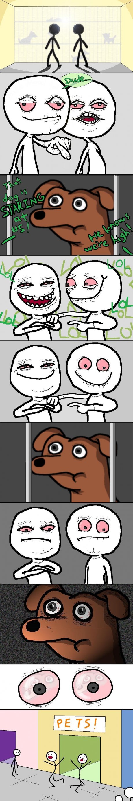 Dog