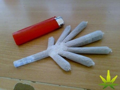 Roll it up, Light it up, Smoke it up