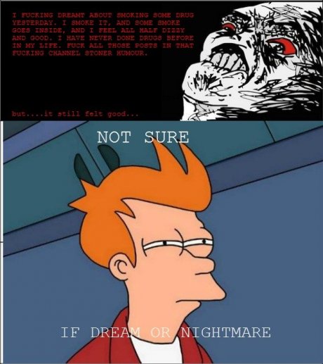 Dream or Nightmare?