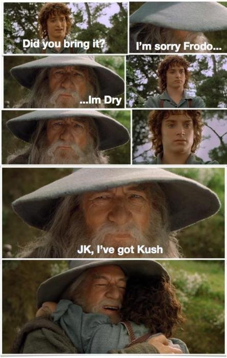 Oh Frodo