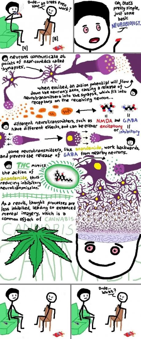 How Weed Works