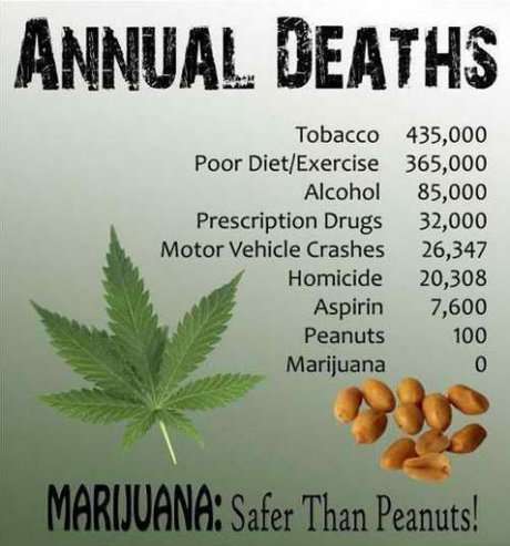 Safter then nuts.