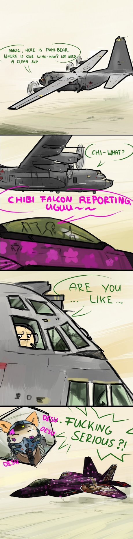 Ace combat: Assault Horizon
