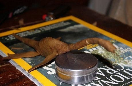 The lockness bluntster!