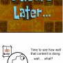A day in the life