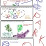 Stoner etiquette