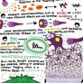 How Weed Works