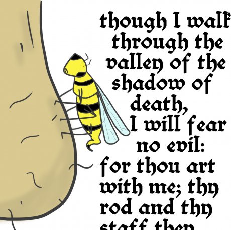 Wasp