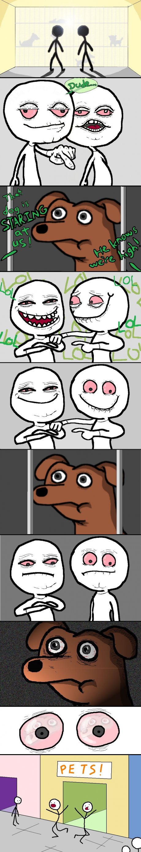 He Knows!
