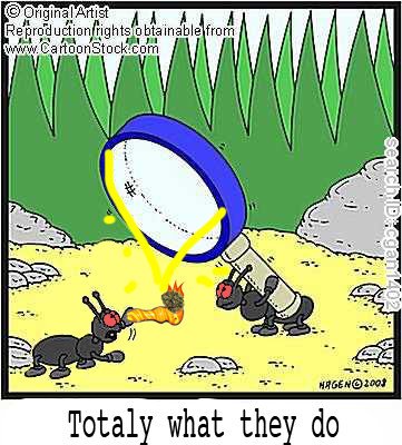 Totally what ants do...