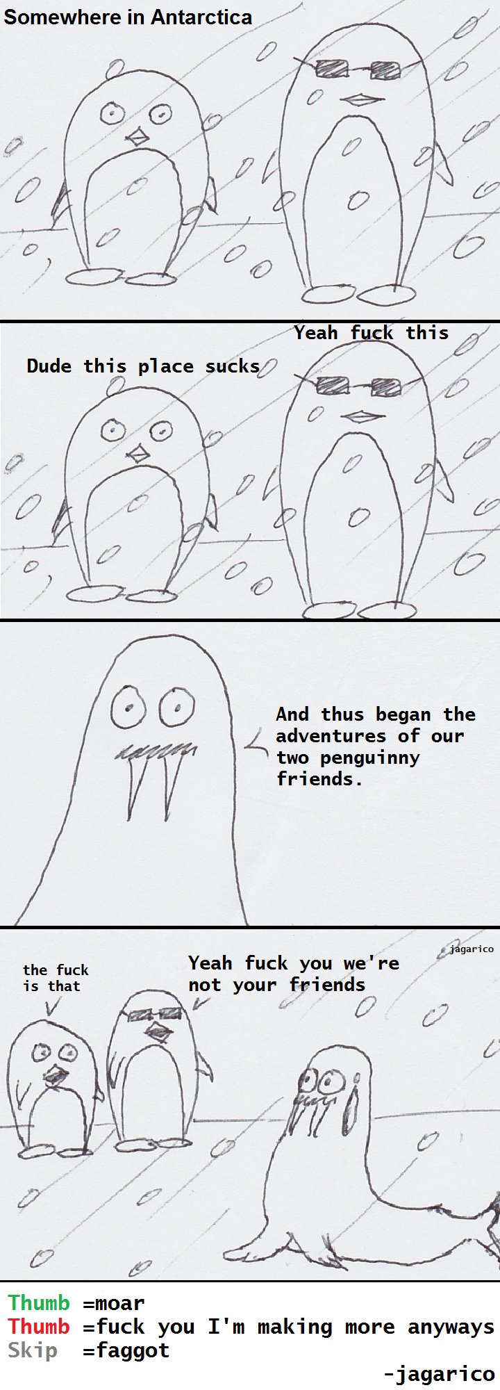The travels of penguin 1