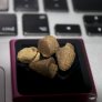 DAT HASH!
