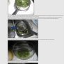 Pot Brownies