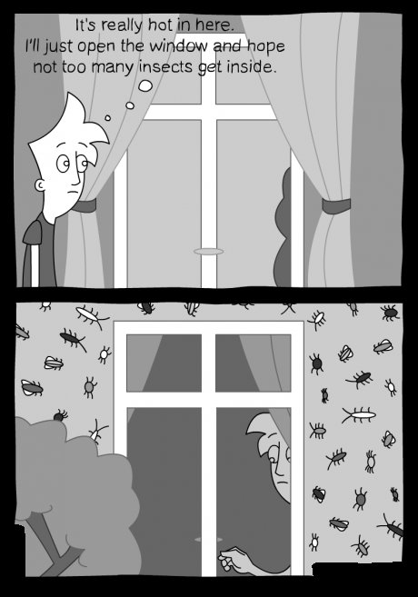 Insects