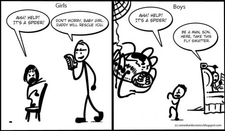 Spiders!
