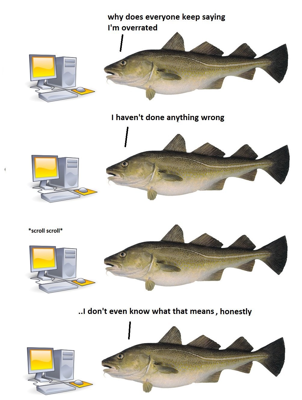 Internet Bullies