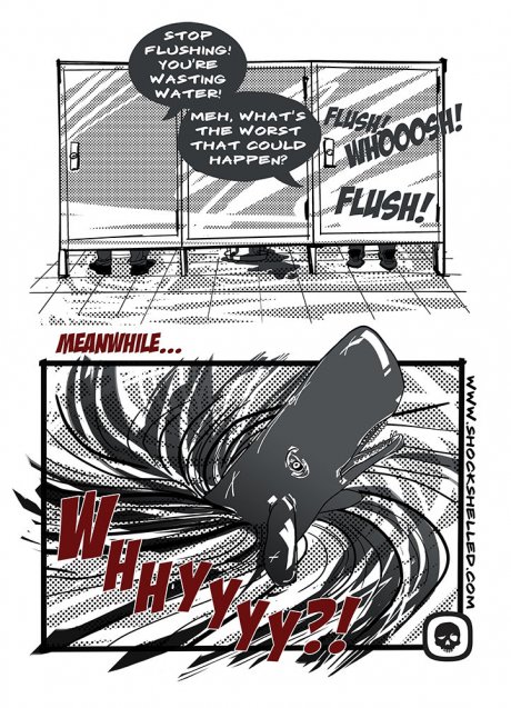 innocent whale