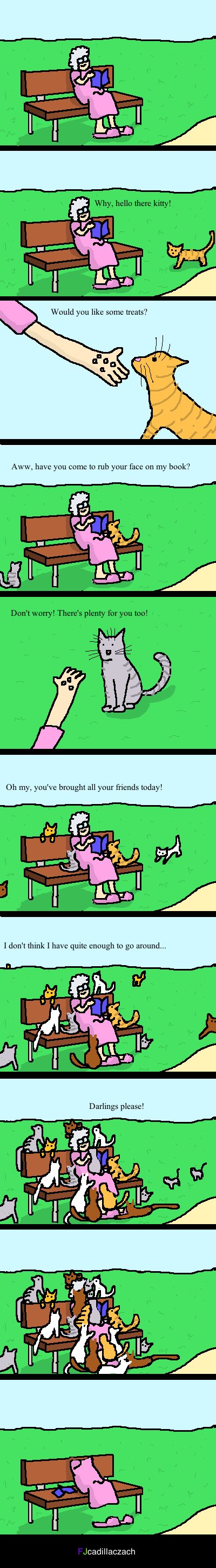 Cats in the Park
