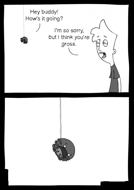 Spider