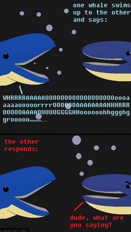 joke i heard