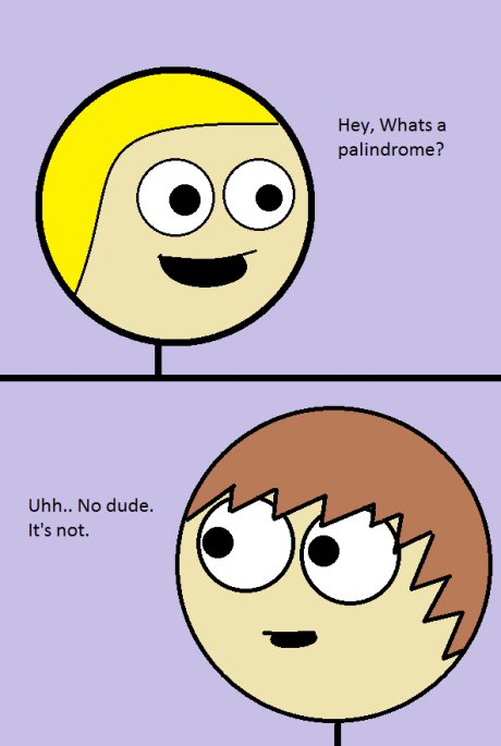 The Palindrome