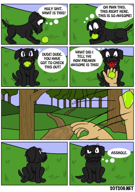 Fetch