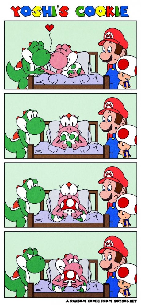 Yoshi's Cookie