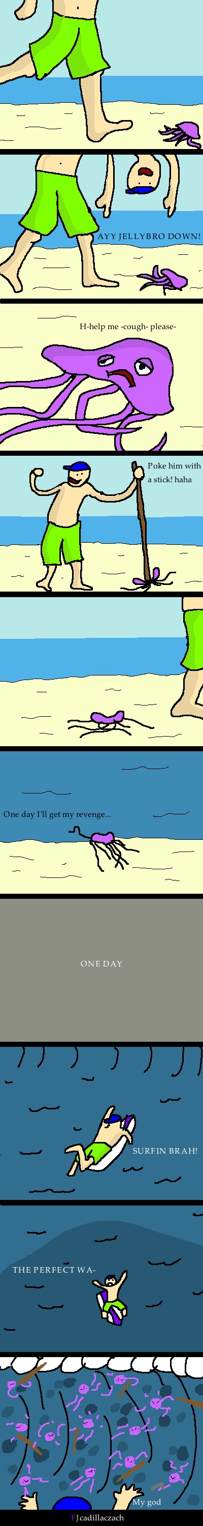 Jellyfish