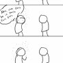 Flies