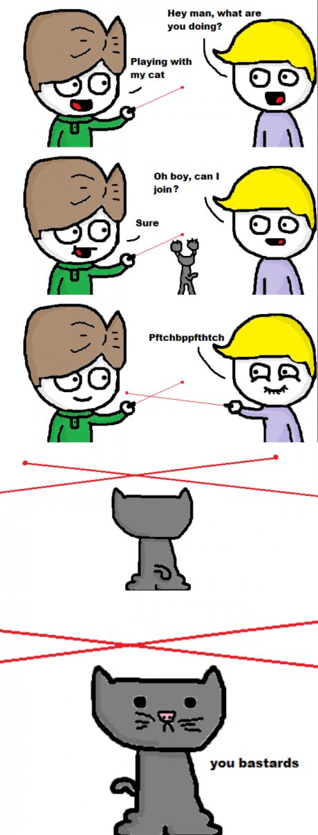 Playing with the cat
