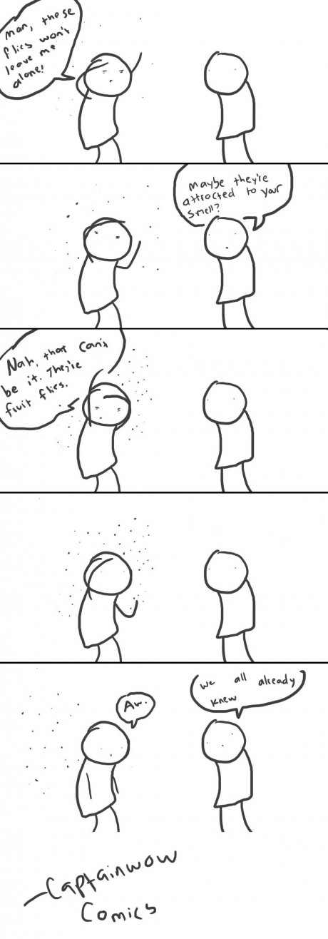 Flies