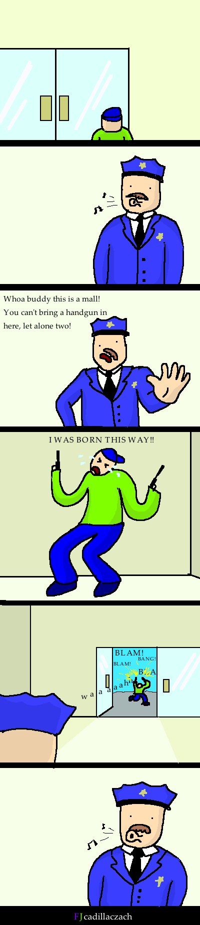 The Mall Cop