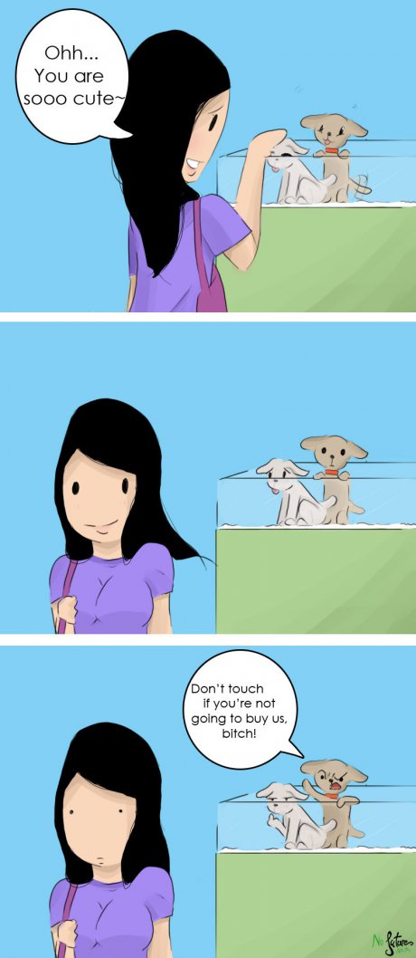 6. Pet shop.